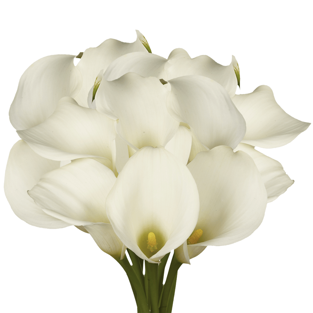 Mini Calla Lily Upgrade